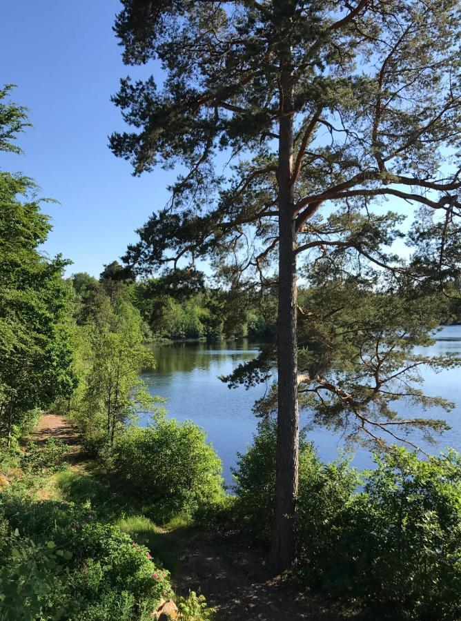 Stenhaella Bed&Breakfast Holmsjö エクステリア 写真